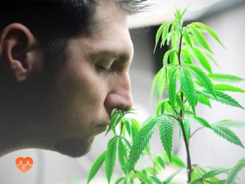 Детоксикация от марихуаны в Хаджалмахи